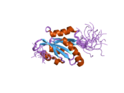 1x67: Solution structure of the cofilin homology domain of HIP-55 (drebrin-like protein)