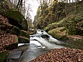 Wesenitz im Liebethaler Grund