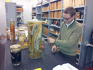 #49 (?/9/1879) Evolutionary biologist M. Thomas P. Gilbert pointing to the preserved left tentacle of the Olafsfjord giant squid of 1879