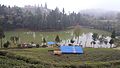 Shree Antu Pokhari at Shree Antu town in Ilam district Nepal