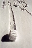 Snow roller with a gear-like shape from Rocky Mountain National Park, Colorado