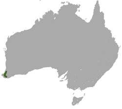 Mapa de distribución de Sminthopsis fuliginosus