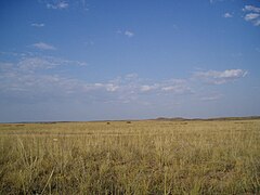 The steppes in Akmola Province, Kazakhstan.