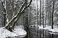 Tarvasjõgi river in Kõrvemaa Nature Park