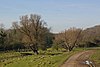 Lympne Escarpment