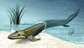 Tiktaalik roseae - artistic interpretation. Neil Shubin, suggests the animal could prop up on its fins to venture onto land, though many palaeonthologists reject this idea as outdated