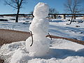 Someone made a tiny snowman in Falls Park.