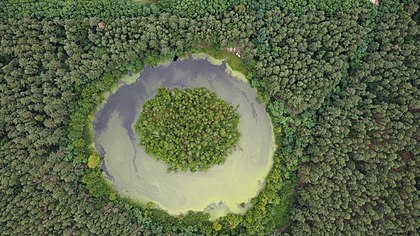 Lago Juravline, um monumento natural hidrológico de importância local na região de Sumy, Ucrânia. A área protegida do lago é de 1,9 hectares e foi criada em 23 de dezembro de 1981 para preservar o pitoresco lago da floresta na planície de inundação do rio Sirovatka. No meio do lago há uma ilha coberta de amieiros e bétulas, e ao redor do lago há principalmente uma floresta de pinheiros. Em 1980–2010, o lago era um local popular de férias. Hoje está coberto de lentilha-de-água e deserto. (definição 4 000 × 2 250)