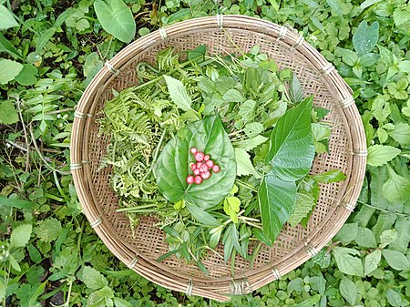 ব'হাগ বিহুৰ সময়ত অসমত পৰম্পৰাগতভাৱে খোৱা এশ এবিধ শাক। চিত্ৰ শিল্পী: চিৰিং চন্দন