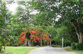 St. George Village Botanical Gardens