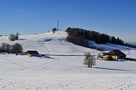 Vue hivernale de la face ouest du crêt Monniot.