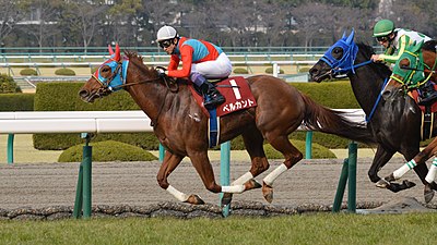 2014年冠軍「黃鶯出谷」