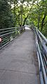 Blue Bridge, Reed College