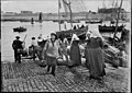 Paul Géniaux, Vue du port de Concarneau entre 1902 et 1905, Musée de Bretagne.