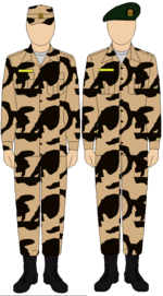 Egyptian Army Thunderbolt camouflage uniform