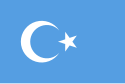 東トルキスタンの国旗