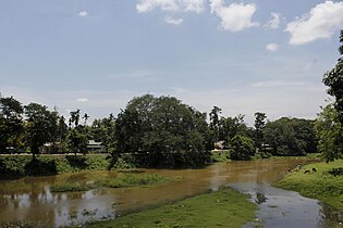 নগাঁৱৰ ৰত্নকান্ত বৰকাকতী দলঙৰ পৰা কলং নদীৰ দৃশ্য