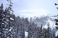 The view from Chair 1 at Loveland Ski Area.