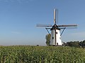 Windmill: de Witte Molen