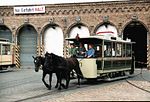 Tram a cavalli in servizio turistico