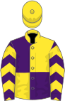 Purple and yellow (quartered), chevrons on sleeves, yellow cap