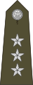 Rotmistrz (Polish Land Forces)[14]