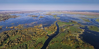 Paysage du parc national de l'embouchure de la Warta, dans la voïvodie de Lubusz (Pologne). (définition réelle 5 644 × 2 822)