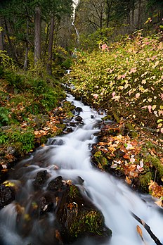 Wahkeena Falls, uma cascata de 73 metros de altura na garganta do rio Columbia, cerca de 21 km a leste de Troutdale, Óregon, Estados Unidos. Ela é diferente das cataratas Multnomah nas proximidades, pois a água não cai diretamente no solo. Em vez disso, Wahkeena Falls tem um fluxo em cascata mais sutil. (definição 4 016 × 6 016)