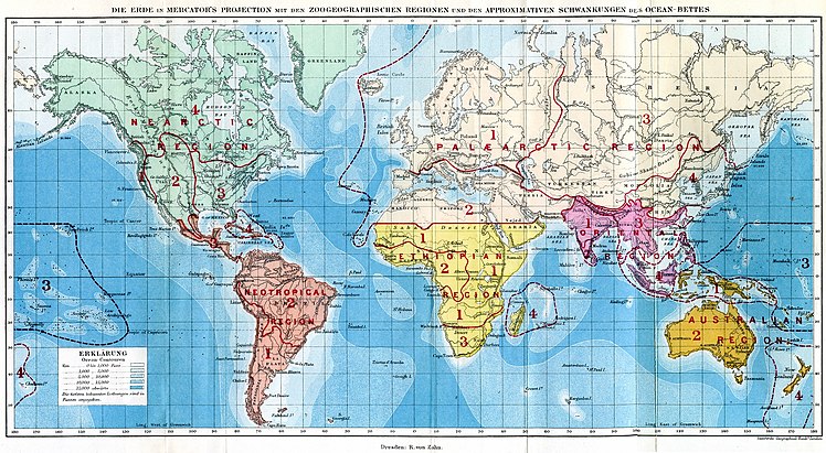 Regione Paleartica: 1. Centro e Nord Europa 2. Sub-regione Mediterranea 3. Sottoregione Siberiana (Asia settentrionale) 4. Giappone e Cina settentrionale (sottoregione della Manciuria) Regione Neartica: 1. Sottoregione Californiana 2. Sottoregione delle Montagne Rocciose 3. Sottoregione di Alleghany 4. Sottoregione Canadese Regione Neotropicale 1. Sub-regione Cilena 1. Sottoregione Brasiliana 1. Sottoregione Messicana 1. Sub-regione delle Antille Regione Etiope (Afrotropicale) 1. Sottoregione dell'Africa orientale (Africa centrale e orientale) 2. Sub-regione dell'Africa occidentale 3. Sub-regione Sudafricana 4. Sottoregione Malgascia (Madagascar e Isole Mascarene) Regione orientale (Indo-Pacifico) 1. Sottoregione Indiana (Hindostan) 2. Sottoregione di Ceylon e dell'India meridionale 3. Sottoregione Indocinese (Sottoregione Himalayana) 4. Sottoregione Malese (Indo-Malese) Regione Australiana (Indo-Pacifico) 1. Sub-regione Austro-Malese 2. Sottoregione Australiana (Australia e Tasmania) 3. Sottoregione Polinesiana (Isole del Pacifico) 4. Sottoregione della Nuova Zelanda