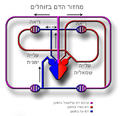 תמונה ממוזערת לגרסה מ־13:45, 24 ביוני 2013