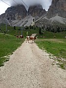 La télécabine Forcella del Sassolungo en été.