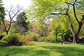 A view of the landscape of Strawberry Fields.