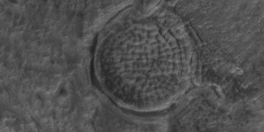 Low center polygons, as seen by HiRISE under HiWish program