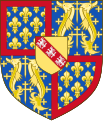 René, duke of Bar and Lorraine, count of Provence