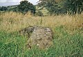 A view of the Carlin Stone