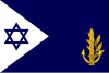 דגל מפקד חיל הים