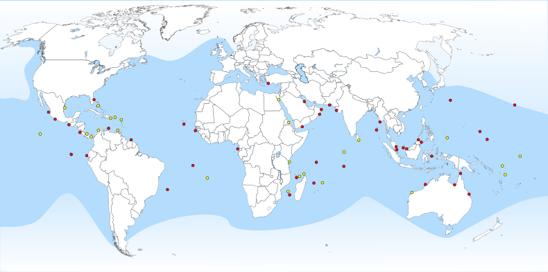 Map showing turtle distribution with concentrations at entrance to Persian Gulf, East African coast, East and West South African coasts, Northern Australia, and Indonesia, with lesser concentrations in Caribbean, Western African coast, Red Sea, India, and Oceania.