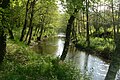 L'Issoire à Brillac