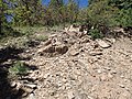 Feldspathic schist of the Moppin Complex on Hopewell Ridge.