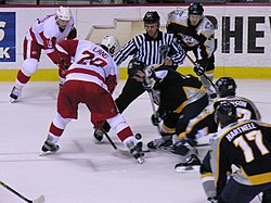 Photo d'un match de hockey où un joueur des Red WIngs dispute le palet à une joueur de l'équipe adverse lors de la mise en jeu effectuée par un arbitre, le tout sous les yeux de leurs coéquipiers.