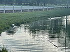 A neighborhood pond in Owens Cross Roads