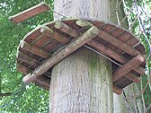 Noninvasive method of fixing a tree platform