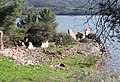 Ruinas del cortijo El Chorreón