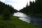 A river flows through grassy meadows surrounded by coniferous forest