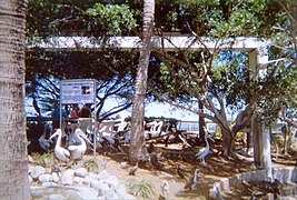 Seabird Rehabilitation Aviary