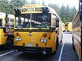 A 1979 Gillig operated by the Shelton School District. Uploaded and used on the Gillig Transit Coach School Bus article.