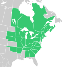 Symphyotrichum cordifolium native distribution: Canada — Manitoba, New Brunswick, Nova Scotia, Ontario, Prince Edward Island, and Québec; US — Alabama, Arkansas, Connecticut, District of Columbia, Georgia, Illinois, Indiana, Iowa, Kentucky, Maine, Maryland, Massachusetts, Michigan, Minnesota, Missouri, Nebraska, New Hampshire, New Jersey, New York, North Carolina, Ohio, Oklahoma, Pennsylvania, Rhode Island, South Carolina, South Dakota, Tennessee, Vermont, Virginia, West Virginia, and Wisconsin.