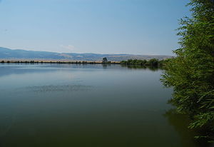 吐露湖（英语：Tolo Lake）