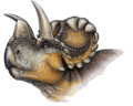 Wendiceratops