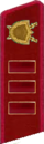 петлица 1937